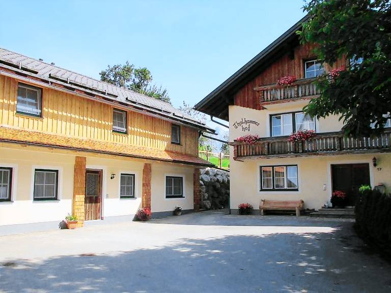 foto1