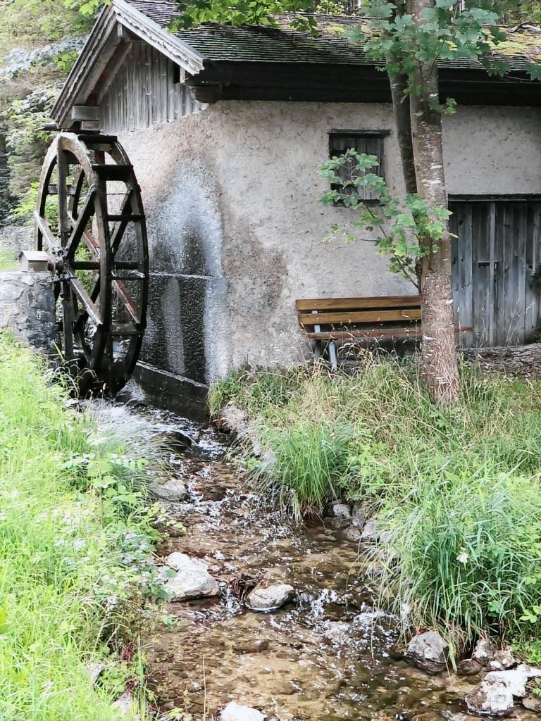 foto2