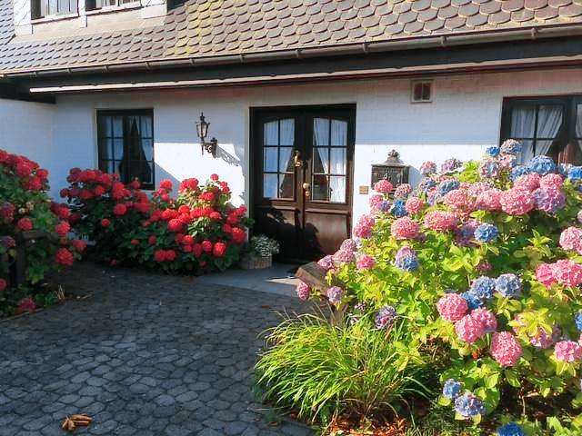 foto2