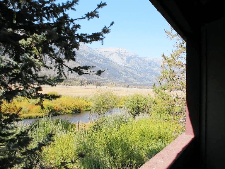 Condo Moose Wilson Road