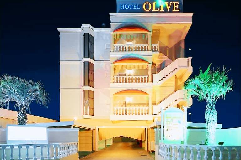 Hotel Olive Sakai