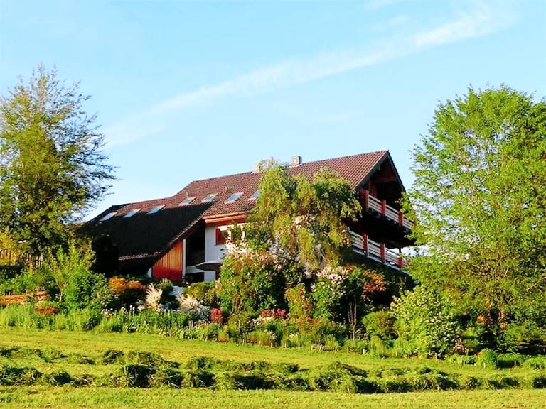 foto1