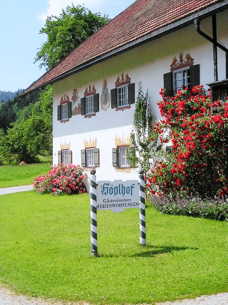 foto1