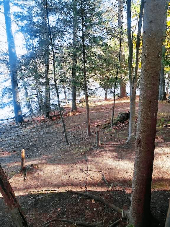 Cabin Saranac Lake