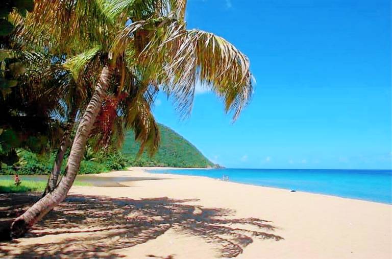 Apartment Basse Terre