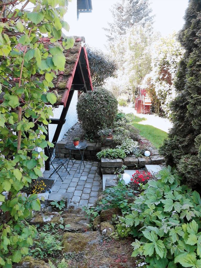 foto2