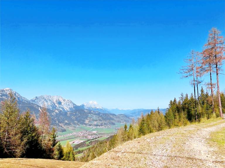 foto2
