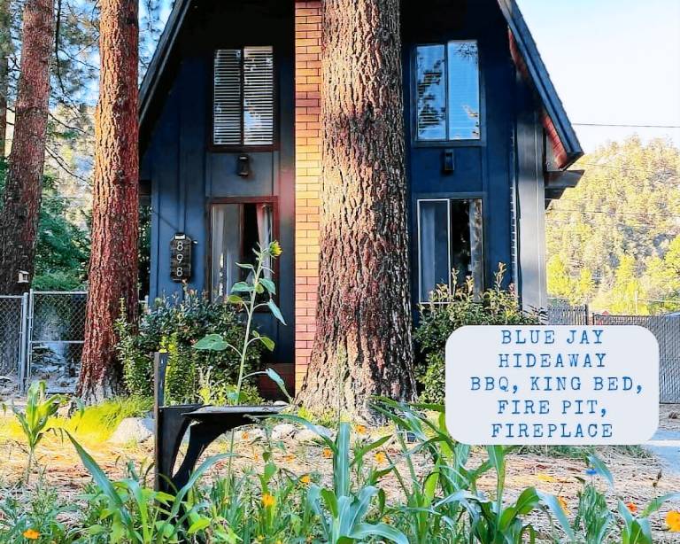 Cabin Wrightwood