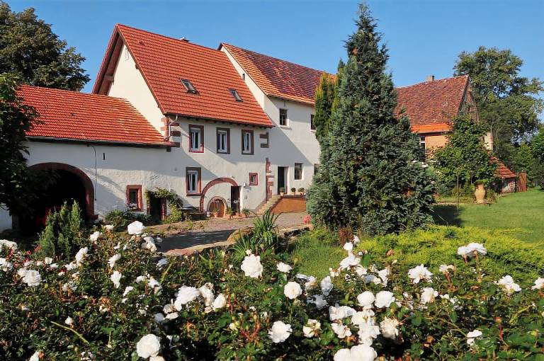 foto1