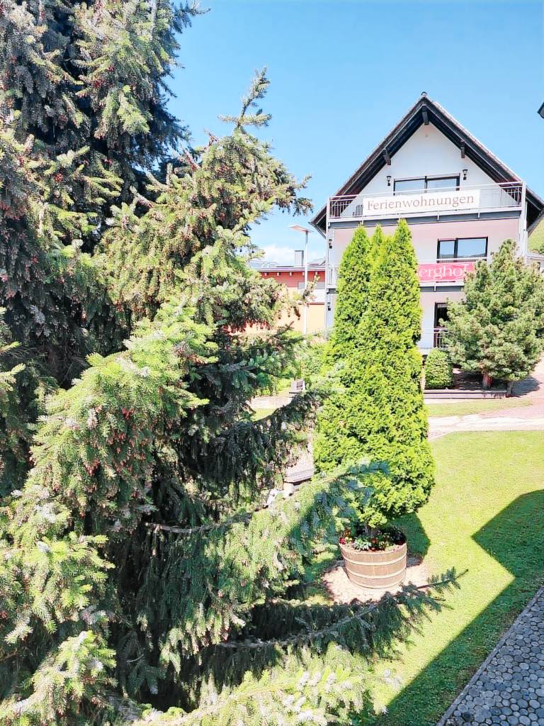 foto4
