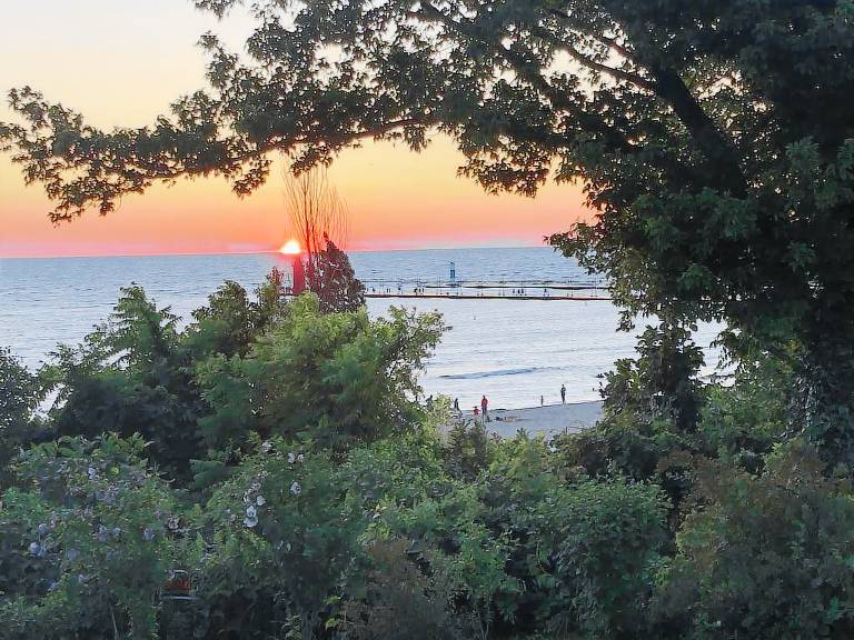 House  South Haven