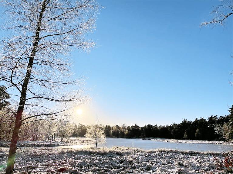 foto4