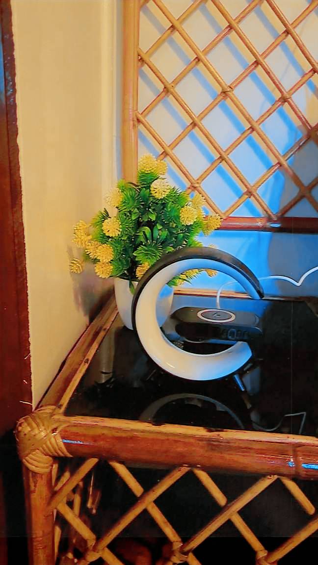 foto5