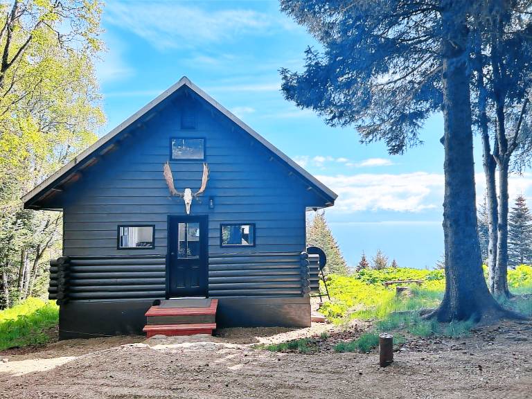 Cabin Homer