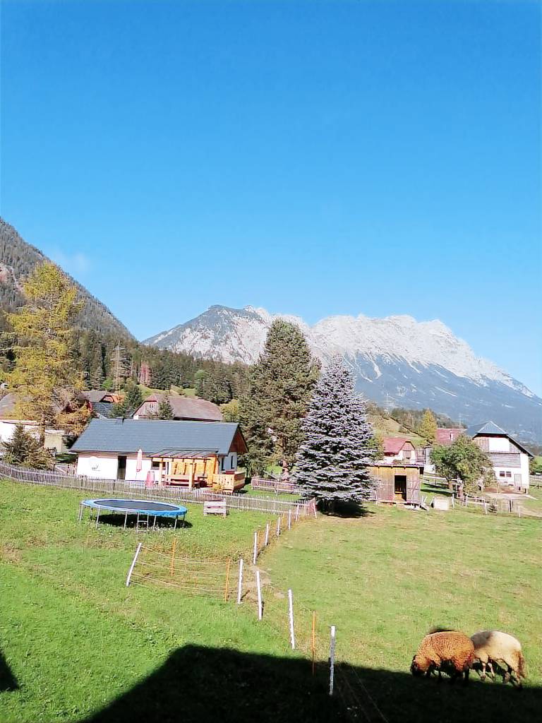 foto4