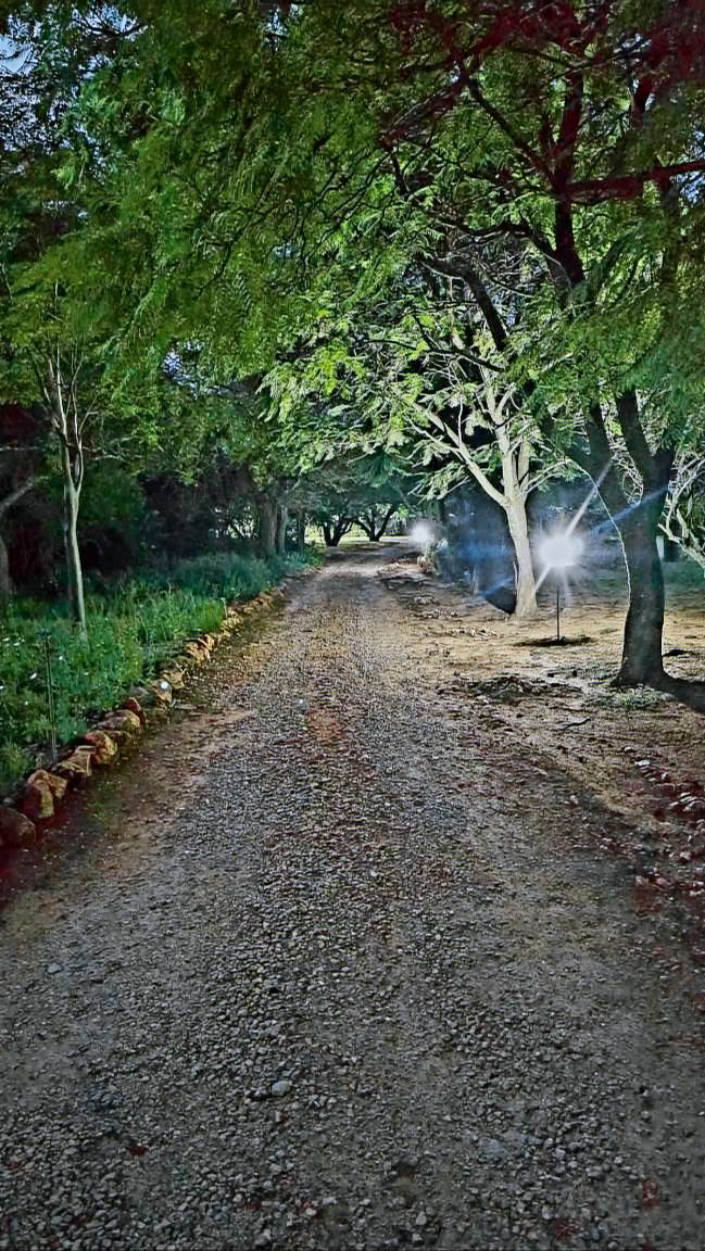 foto2