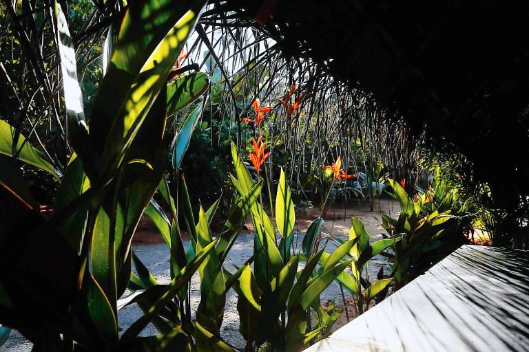 Hostel Exp Auroville A Rural Retreat Experience