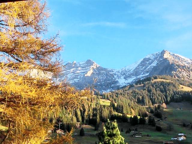 foto4
