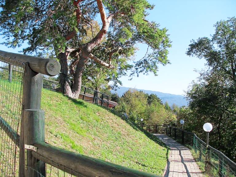 foto4