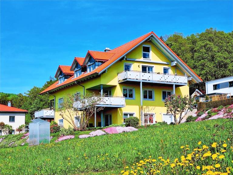 foto2