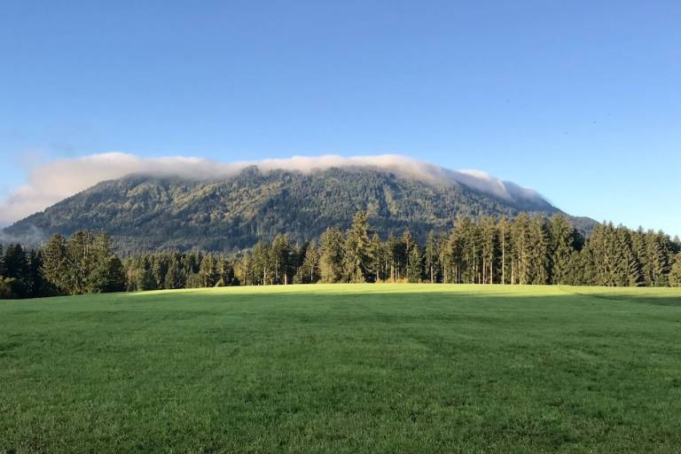 foto28