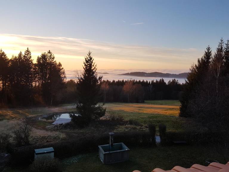 foto15