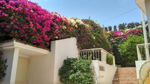 Villa Agadir