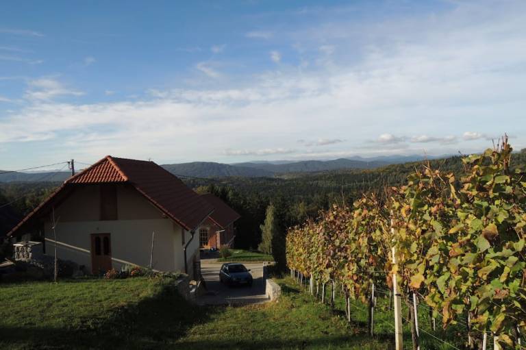 Ferienhaus