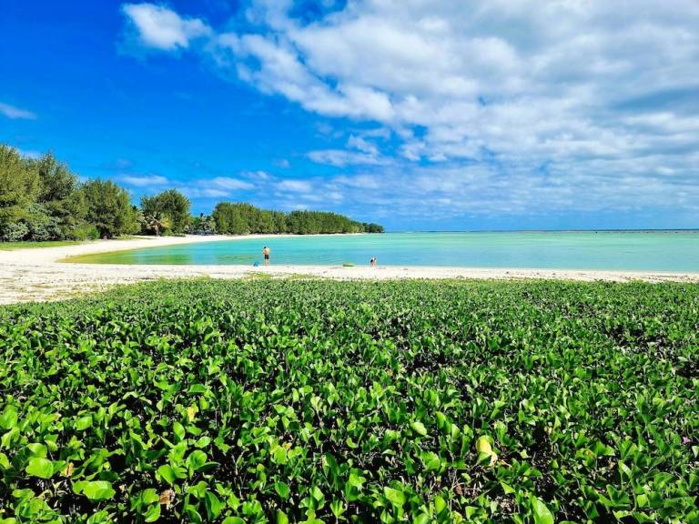 House Puapuautu Tapere