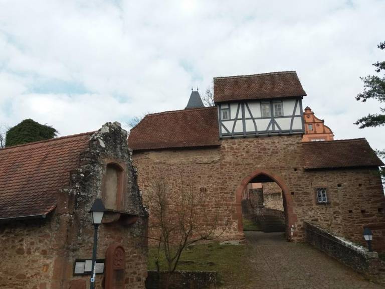 foto29