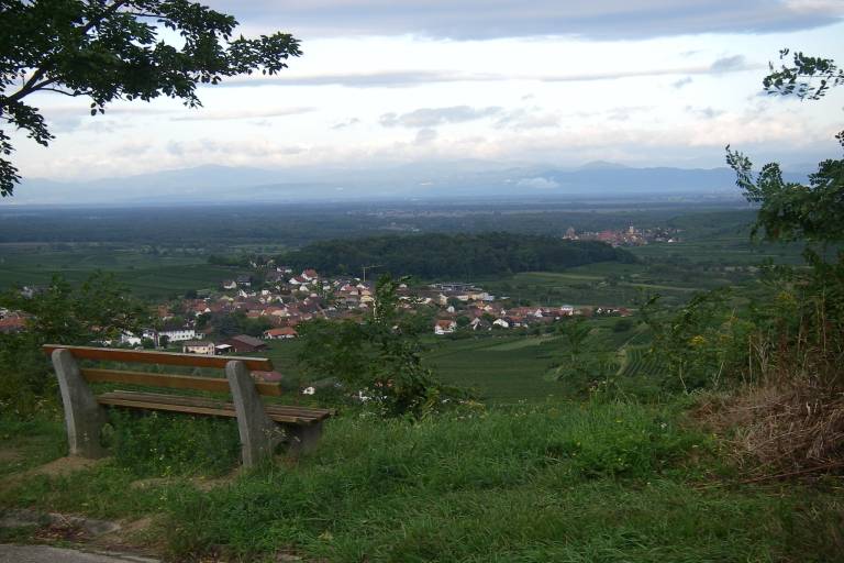 foto16