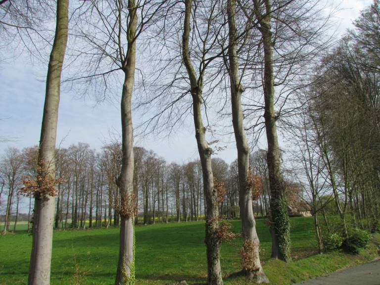 foto17
