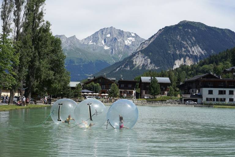 Chalet Saint-Bon-Tarentaise