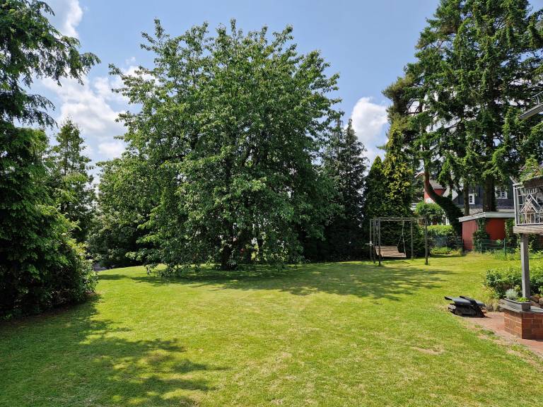 foto29