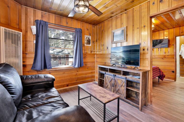 Cabin Big Bear Lake