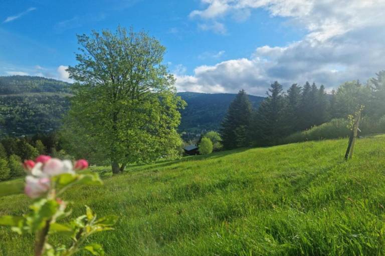 foto38