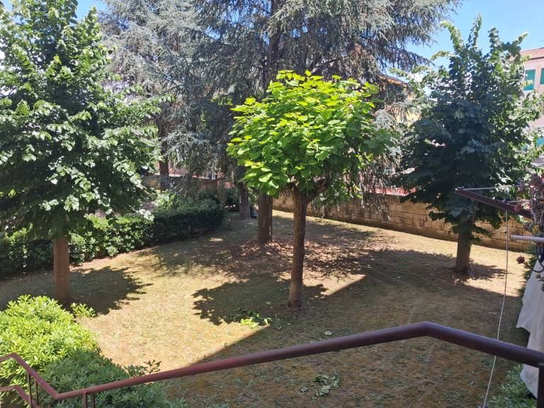 foto43