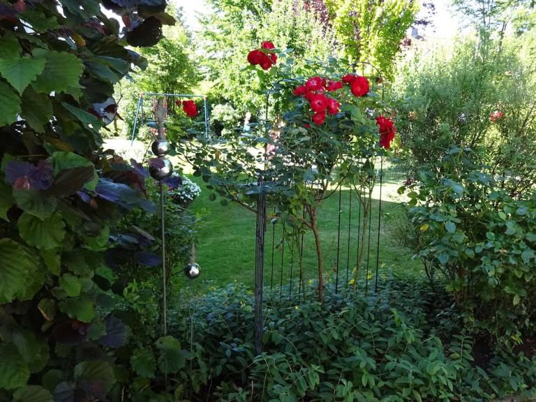 foto17
