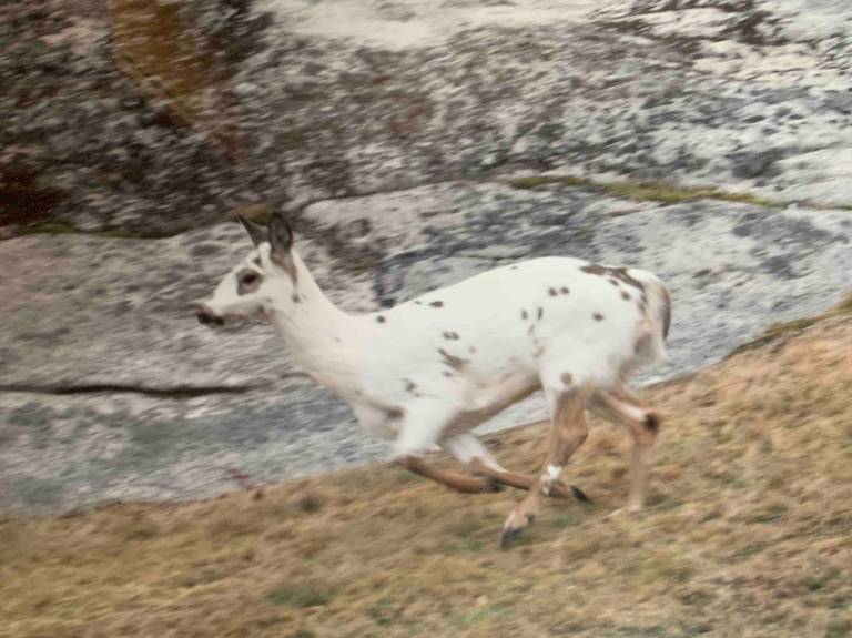 foto14
