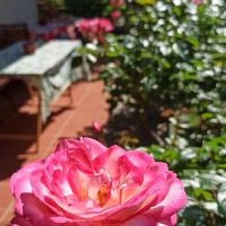 foto43