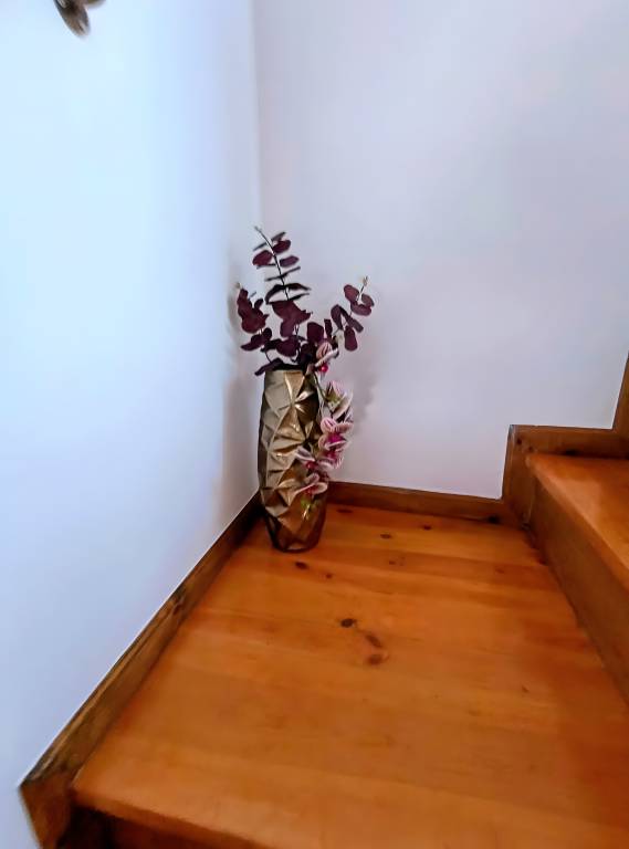 foto20