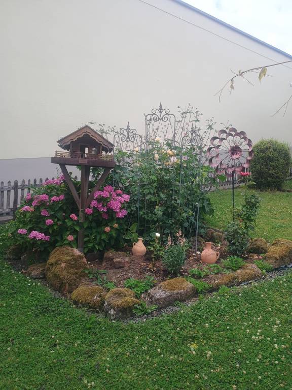 foto45