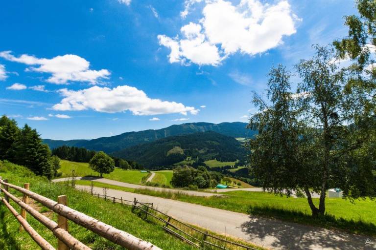foto11