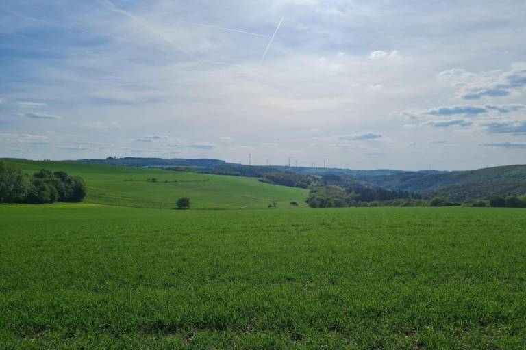 foto17