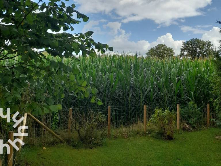 foto18