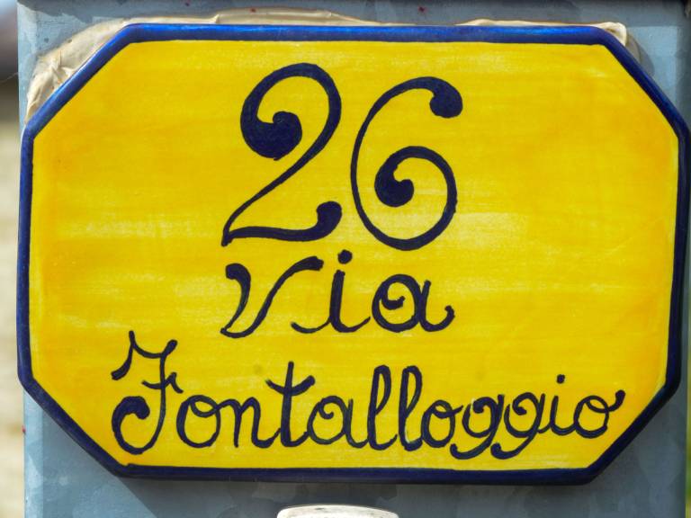 foto50