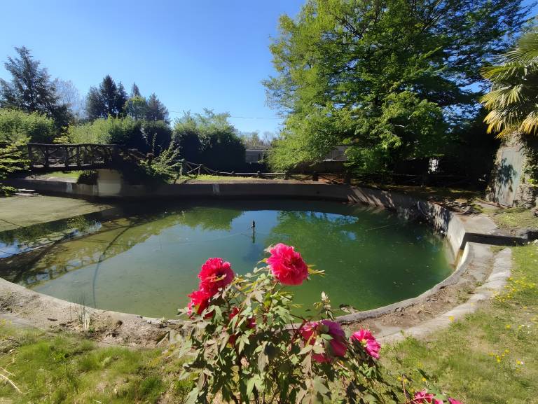 foto42