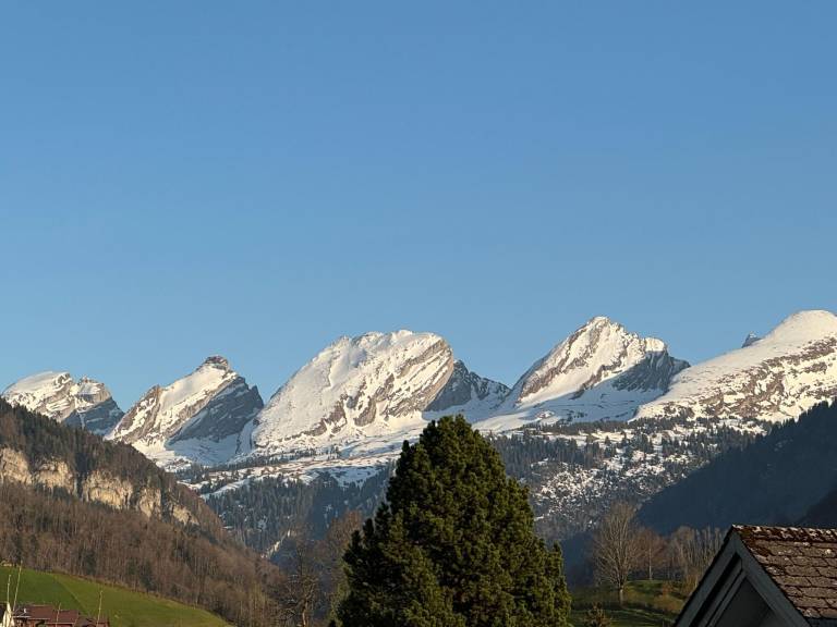 foto11