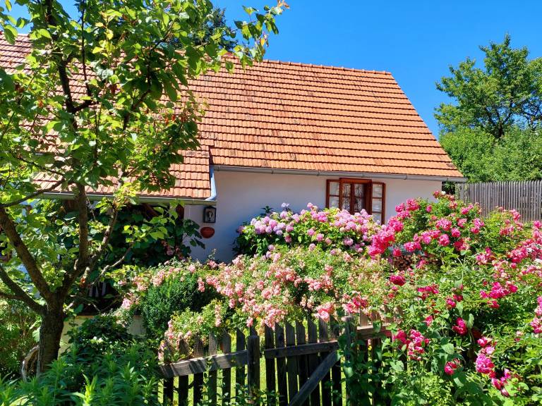 foto20