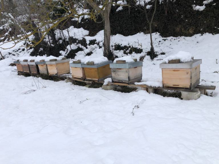 foto38